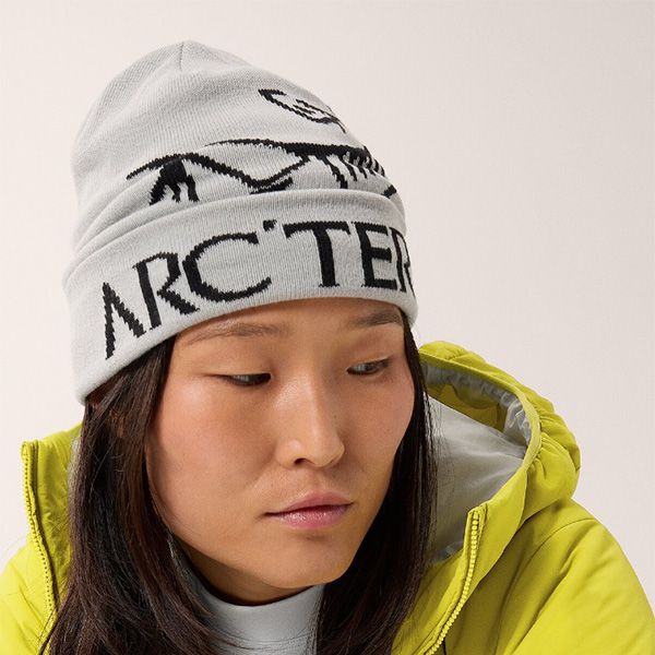 アークテリクス ビーニー 偽物 Bird Word Toque☆-アークテリクス